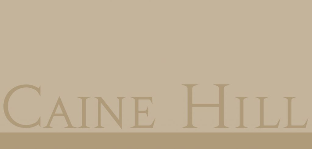 CAINE HILL 按揭優惠 3 恒基地產旗下的上環CAINE HILL公布首張價單。首張價單涉及50伙,扣除3%付款折扣後,折實售價由542.327萬港元起,呎價由26,572元起。