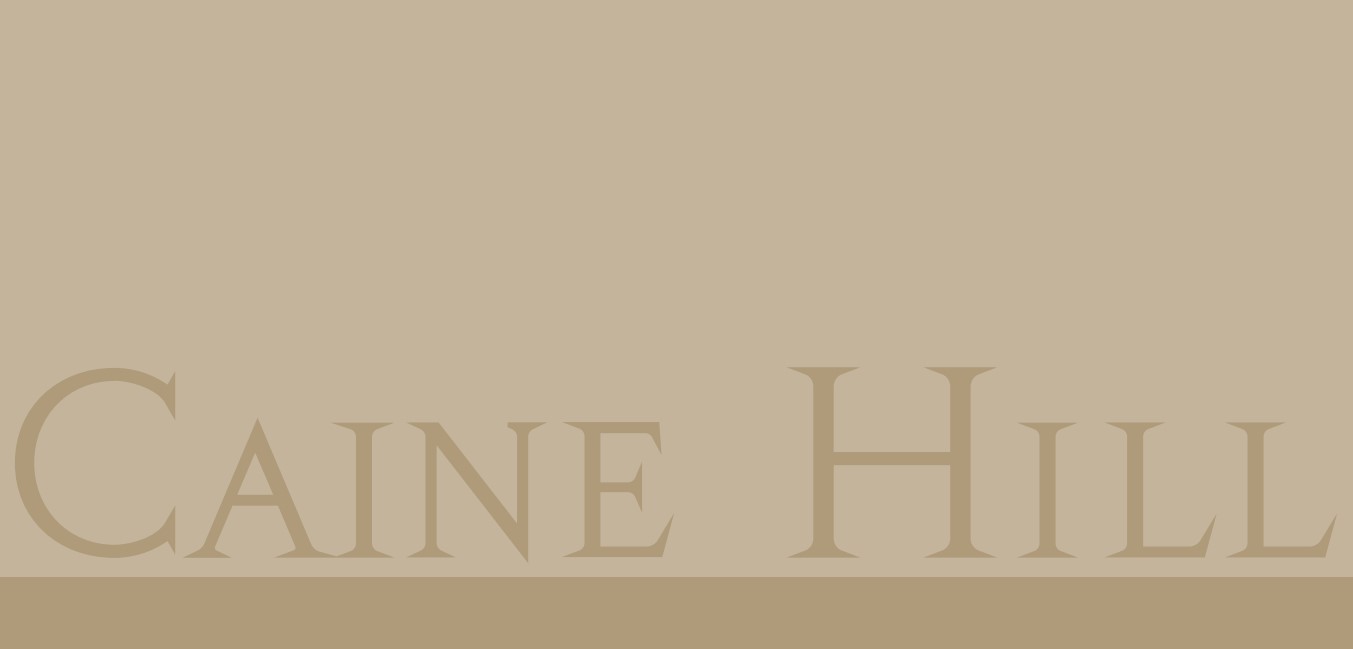 恒基地產旗下的上環CAINE HILL公布首張價單。首張價單涉及50伙，扣除3%付款折扣後，折實售價由542.327萬港元起，呎價由26,572元起。